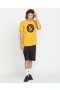 Men Crisp Stone Fill Short Sleeve Tee - Seedy Yellow | Volcom T-Shirts & Tanks