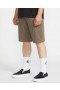  Męskie szorty Frickin Modern Stretch - Mushroom | Szorty Volcom