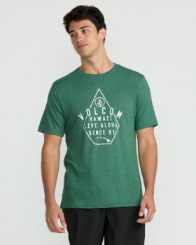  Tricou cu mânecă scurtă Lined Up pentru bărbați - Forest Heather | Tricouri și maieuri Volcom