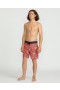 Herr Psyche Cotton Stoney 17 | Volcom Boardshorts & Badbyxor
