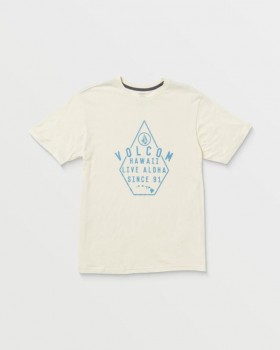  Camiseta de manga corta para hombre con estampado de rayas - Blanco roto jaspeado | Camisetas y camisetas de tirantes Volcom