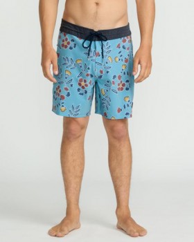  Pánské kraťasy a boxerky Volcom Psyche Cotton Stoney 17