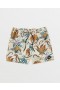  Miesten Lido Print 16 | Volcom Surffishortsit ja -shortsit